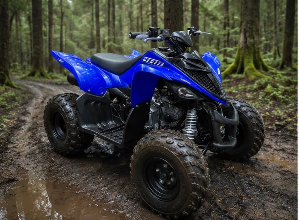 Yamaha YFM110 Quad